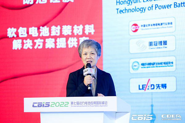 浙江雙元科技股份有限公司技術(shù)總監胡美琴：攜手雙元，提質(zhì)助力TWH時(shí)代