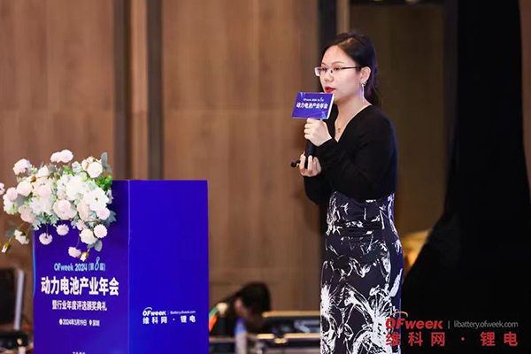 高朋滿(mǎn)座！盛況空前！“OFweek 2024新能源產(chǎn)業(yè)協(xié)同發(fā)展大會(huì )”圓滿(mǎn)落幕